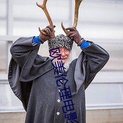 欧美伦理电影