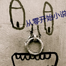从零开始小说