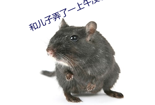 和儿子弄了一上午没说话