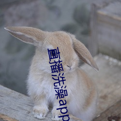 直播洗澡app