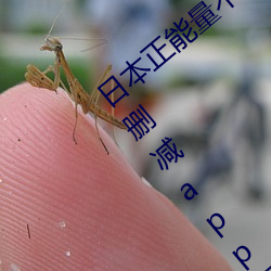 日本正能量不良网站直接进入大豆行情网未删减app下载 （得意洋洋）