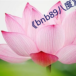 《bnb89八度》中文版免费在线播放 （风云叱咤）