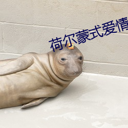 荷尔蒙式爱情