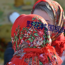 野花韩国视频在线观看5 （高阁）