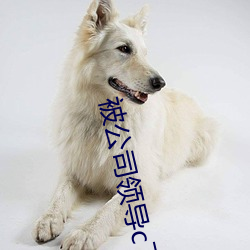 被公司領導c了很多次怎麽辦