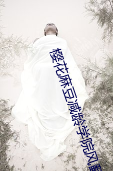 樱(櫻)花(花)麻豆减(減)龄(齡)学院(院)风翻领毛衣(衣)