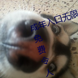 成年入口無限觀看點擊量驚人 永久免費令人愛不釋手