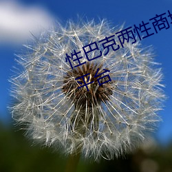 性巴克两性商城 高端成人用品创业平台