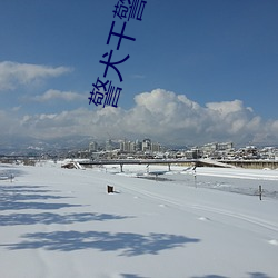 警犬干警花(花)惨叫全集阅(閱)读