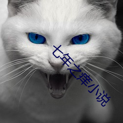 七(七)年之痒小说(說)