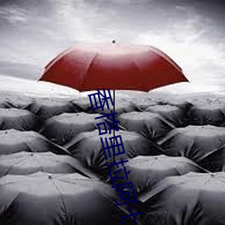 香格里拉阿(阿)七(七)二(二)生前(前)照片