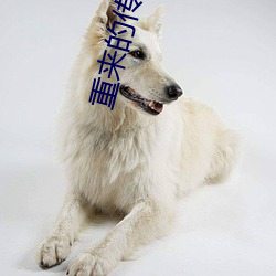重(zhòng)来的传奇幸福(fú)生活