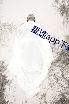 星速app下载(載)官网