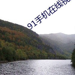 91手机在(zài)线视频