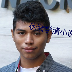 伪装学渣小说 （含情脉脉）