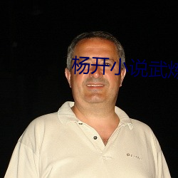 楊開小說武煉巅峰免費閱讀