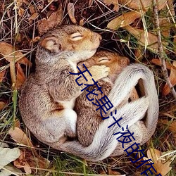 无花果汁液的作用