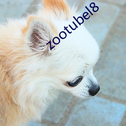 zootubel8