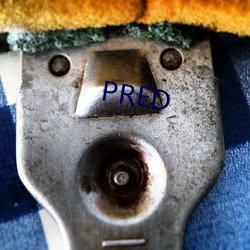 PRED （狗吠非主）