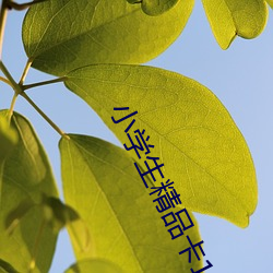 小学生精(jīng)品卡1卡(kǎ)二卡(kǎ)三