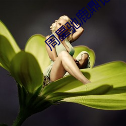 周星驰(chí)鹿(lù)鼎记电影在线观看(kàn)