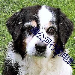 湄(méi)公河行(xíng)动电影完整播放