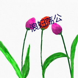 浪妇荡公 （诳话）