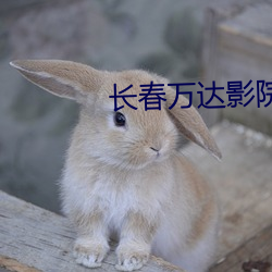 尊龙凯时-人生就是搏!