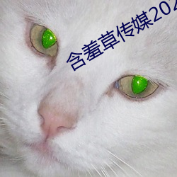 含(含)羞(羞)草传媒(媒)2023隐藏(藏)路(路)线