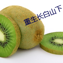 重生长白山下(xià)