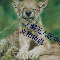 了解無人區中的一碼、二碼和三碼的含義和特點