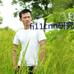 fi11cnn研究所官网