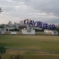 GAY男(男)性(性)奴