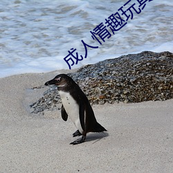 成人情趣玩具 （鼎食鸣钟）