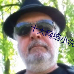 十大网络小说 （推梨让枣）