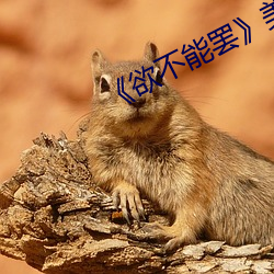 《欲不能罷》美劇