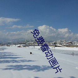 免(免)费看动画(畫)片