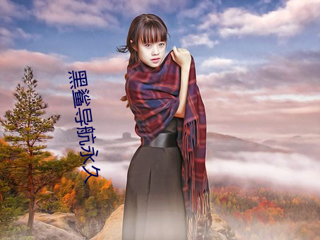 黑鲨导航永久