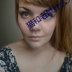 猫和老鼠什么克图茨
