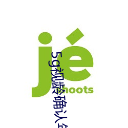 5g视龄确认年满十八