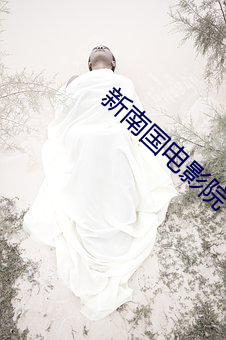 新南国电(diàn)影(yǐng)院(yuàn)