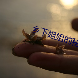 乡(鄉)下姐姐(姐)的秘密在线观(觀)看