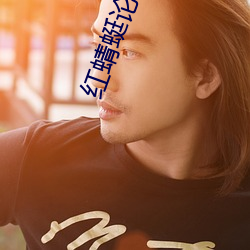 红蜻蜓论坛资源