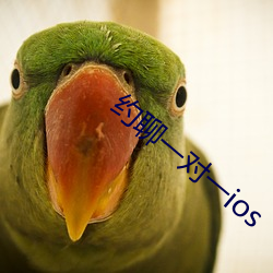 约聊(liáo)一对一ios