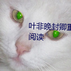 叶(yè)非(fēi)晚(wǎn)封卿重生王妃要和离免费阅读(dú)