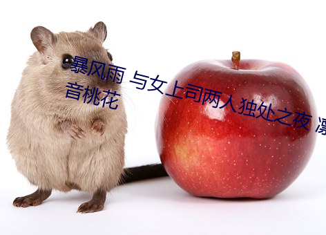暴风雨 与女上(shàng)司两人独处之夜 凛音桃(táo)花