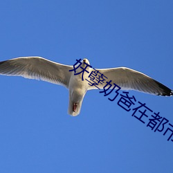妖孽奶(奶)爸(爸)在都(都)市