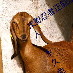 火影忍者正能量网站链接免费点击量惊人 永久免费令人爱不