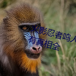 火影忍(忍)者鸣(鳴)人(人)所(所)有人物(物)画画有图有(有)真相全