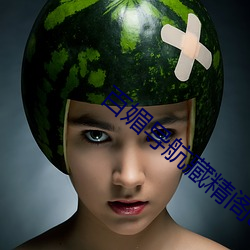 百媚導航藏精閣app